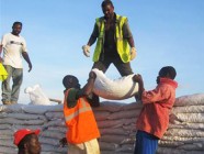 Refugio en Haiti - Vivienda de emergencia