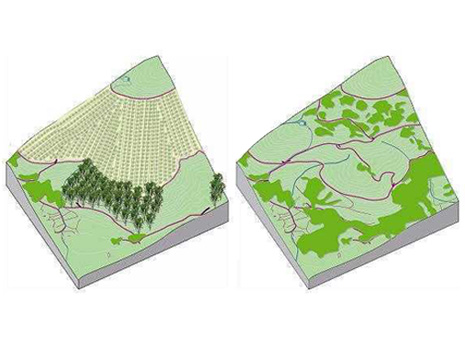 Concentracin parcelaria vs bosque comunal